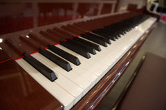 RITMULLER Baby Grand Piano R8 Brown RITMULLER Baby Grand Piano R8 Brown