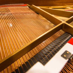 Kawai Grand Piano GL 10  (Renewed)