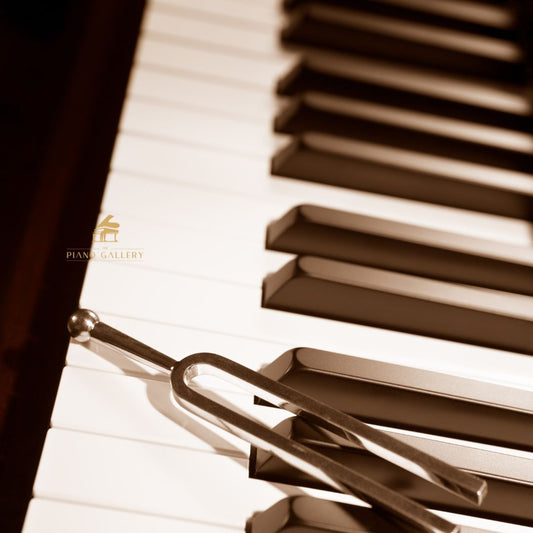 Basics of Piano Tuning