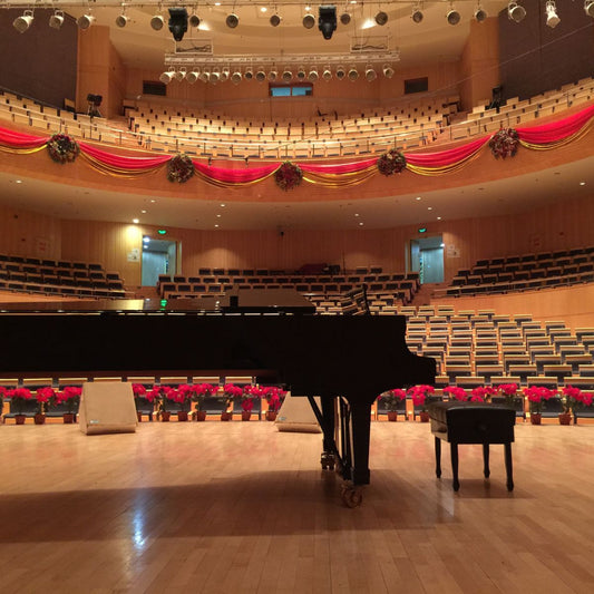 Famous Concert Venues Known for Their Grand Pianos