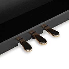 KAWAI DIGITAL PIANO CN301 (BLACK)+ BENCH