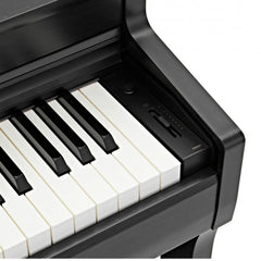 KAWAI DIGITAL PIANO CN301 (BLACK)+ BENCH
