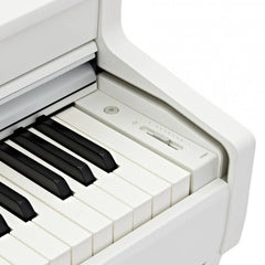 KAWAI DIGITAL PIANO CN301 (WHITE)+ BENCH
