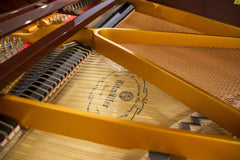 RITMULLER Baby Grand Piano R8 Brown