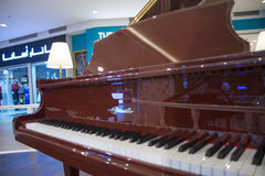 RITMULLER Baby Grand Piano R8 Brown