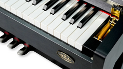 Steiner Digital Piano DP-1400B Black