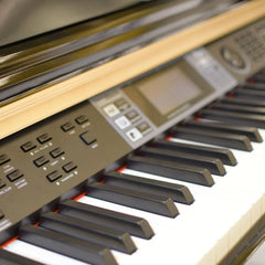 Steiner DP-1200 Digital Piano – High-Polish Shiny Black