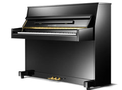 Pearl River Upright Piano UP115M5  Black