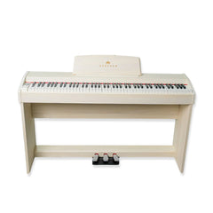 Steiner Digital Piano DP-450v2 – White Ash | 2026 Version
