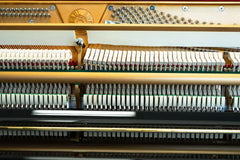 PEARL RIVER Upright Piano UP-115M5 – Brand New