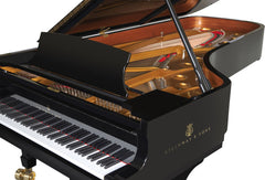 STEINWAY &amp; SONS D-274 Concert Grand Piano – Black | Exceptional Condition