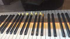 YAMAHA Grand Piano C3A  (Reconditioned) Made in JAPAN Serial# 4281228