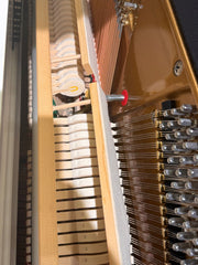 KREUTZER Upright Piano K-123 – Polished White (Reconditioned)