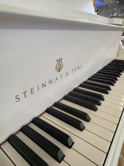 Steinway and Sons O-180 Renewed Grand Piano – White and Gold Baroque Edition | Serial No. 386075