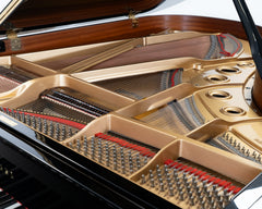 Yamaha Grand Piano C5 Black /  Reconditioned | Made in Japan