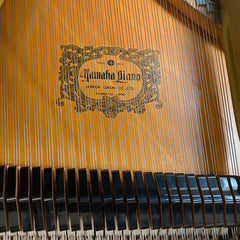 Yamaha Grand Piano C7 A Black/ Renewed | Made in Japan