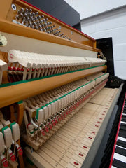 PEARL RIVER Upright Piano UP-115M5 – Brand New
