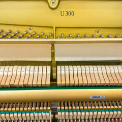 Yamaha Upright Piano U300SX Black / Renewed | Made in Japan / Serial: 5476399