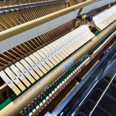 KAWAI Upright Piano DS-6 5– Reconditioned