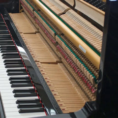 Yamaha Upright Piano U1M Black / Renewed | Made in Japan/ Serial: 3656153