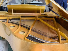 Steiner Grand Piano HG-152G - Golden with Bench