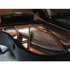 Steiner Grand Piano  HG-196E - Black with Bench