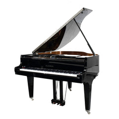 Buy Piano Online