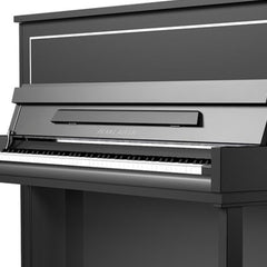 Pearl River Upright Piano UP121S Black