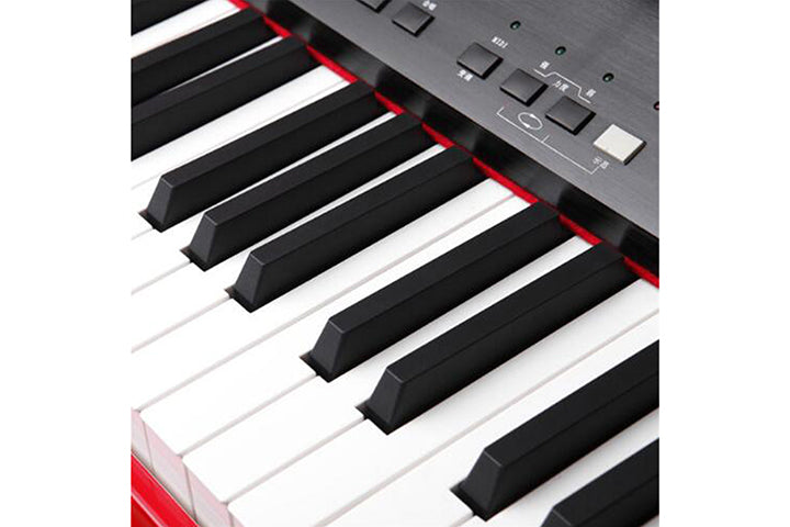 Steiner Digital Grand Piano MG10B