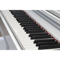 Steiner Digital Piano