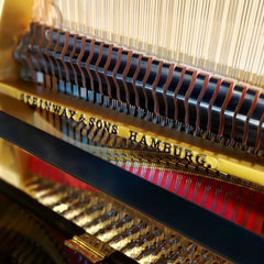 Steinway Grand Piano Model M-170  (Renewed)