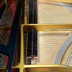 Steinway & Sons Grand piano S-155  (Renewed)