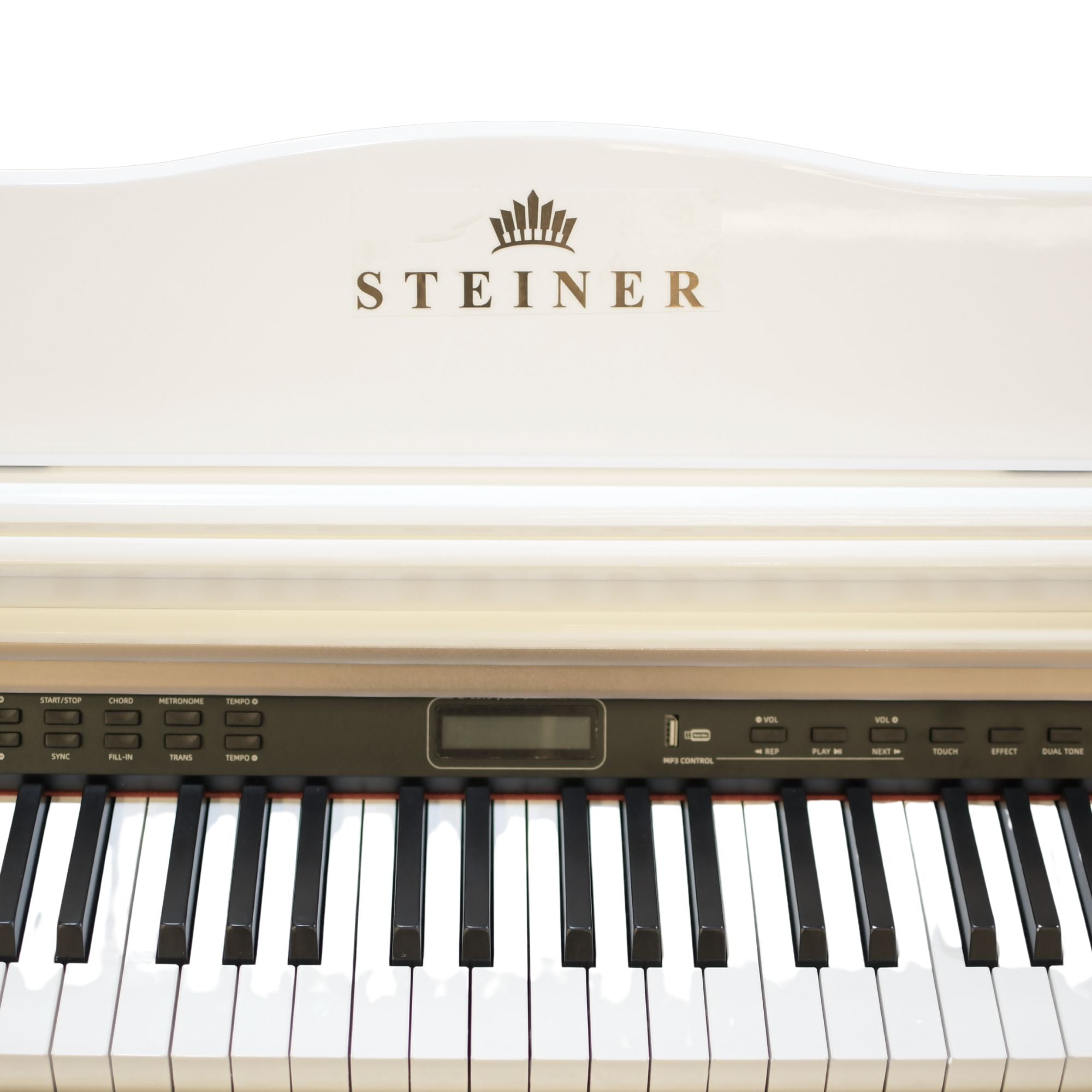 Steiner Digital Piano DP-1100W