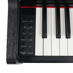 Steiner Digital Piano DP-200v2 Black with  bench