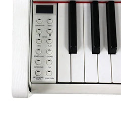 Steiner Digital Piano DP-200v2 White with  bench