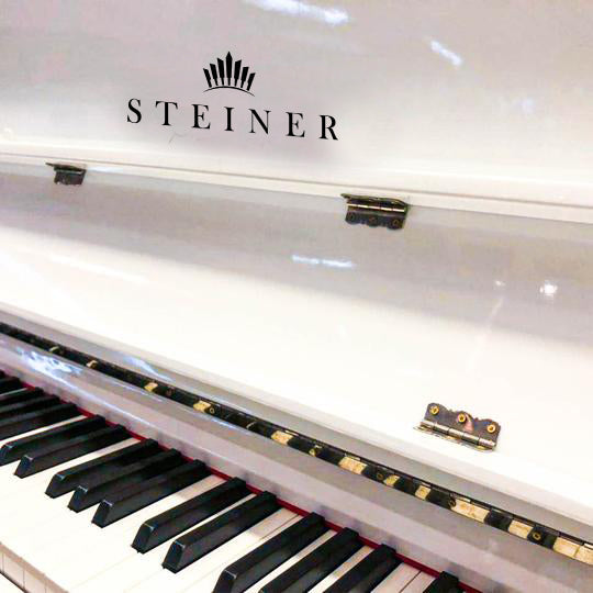 Steiner Upright Digital Piano DP-500 
