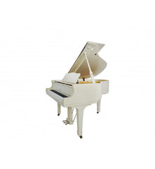 Young Chang Grand Piano G - Recon